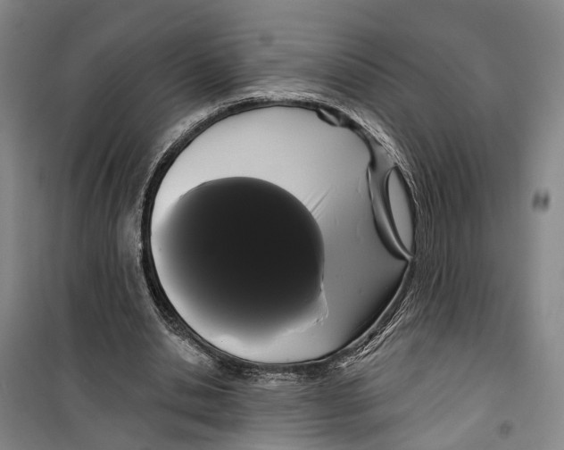 X0000099380438200806051125