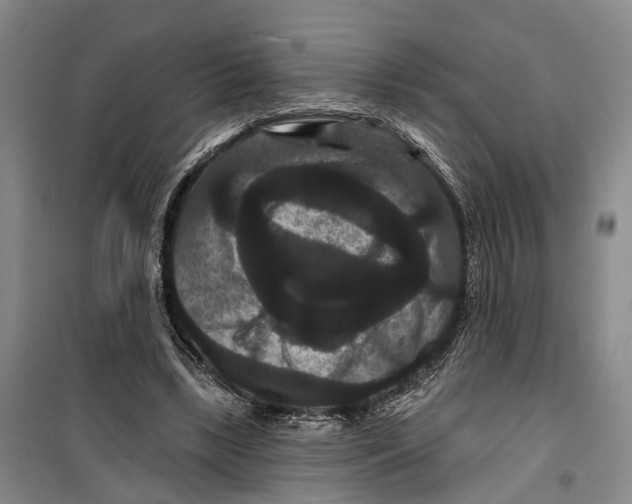 X0000099380443200806051125