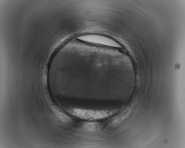 X0000099380446200806051125