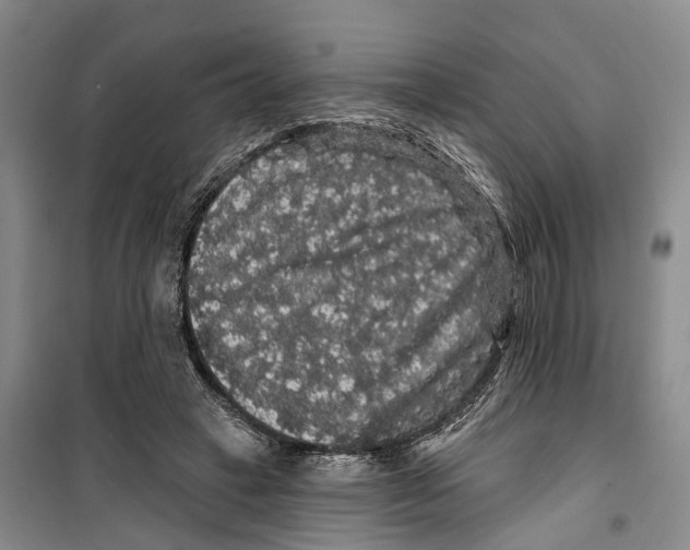 X0000099380449200806051125