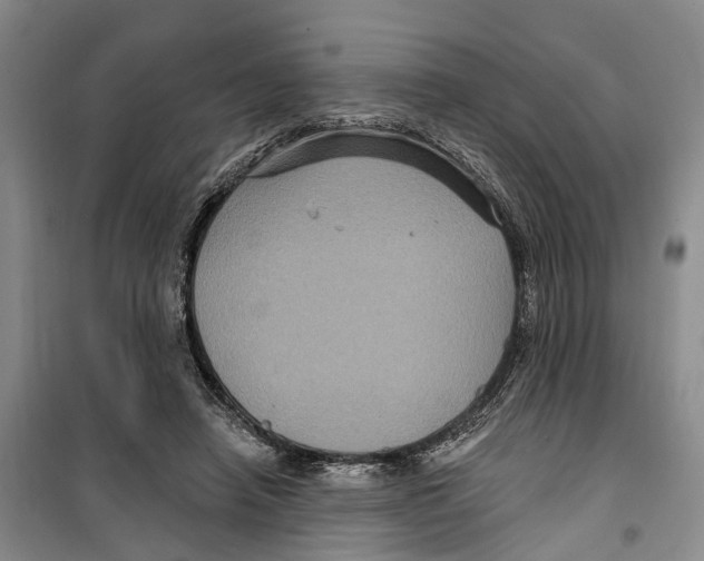 X0000099380450200806051125