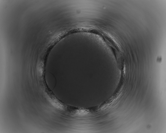 X0000099380451200806051125