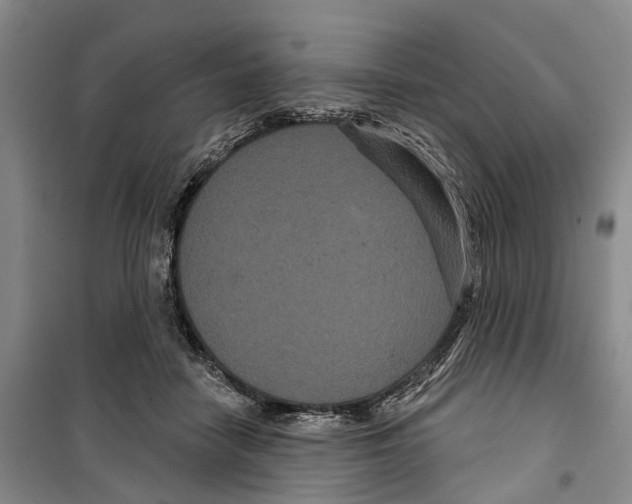 X0000099380458200806051125