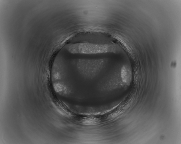 X0000099380459200806051125