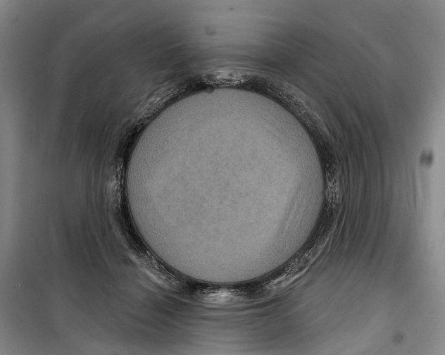X0000099380460200806051125
