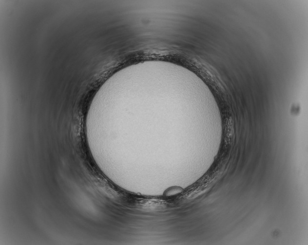 X0000099380463200806051125