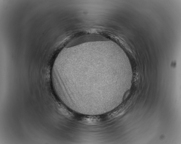 X0000099380466200806051125