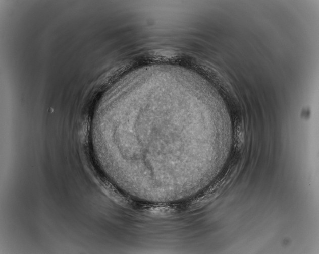 X0000099380468200806051125