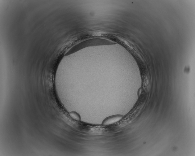 X0000099380470200806051125