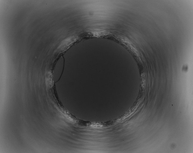 X0000099380471200806051125