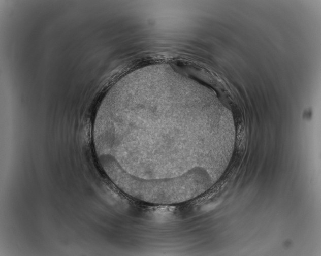 X0000099380474200806051125