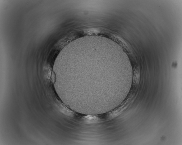X0000099380477200806051125