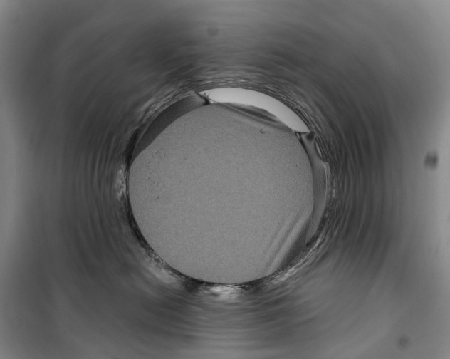 X0000099380478200806051125