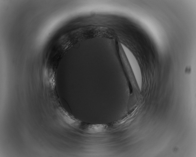 X0000099380479200806051125