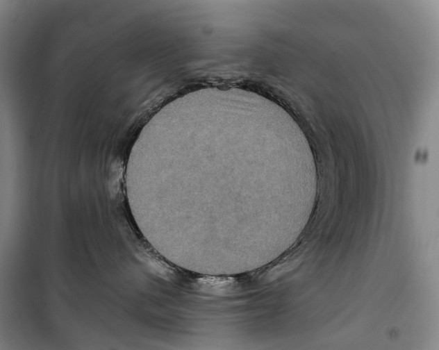 X0000099380480200806051125