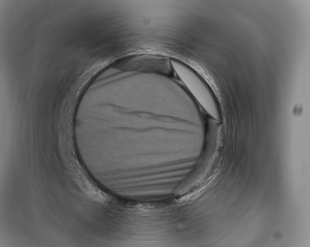 X0000099380481200806051124