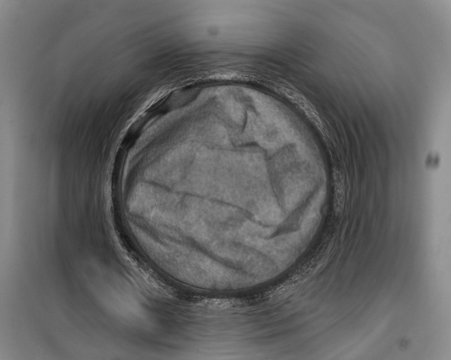 X0000099380482200806051124