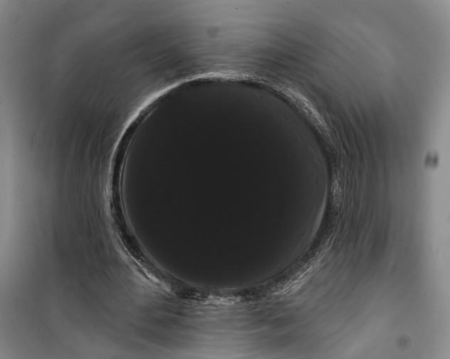 X0000099380484200806051124
