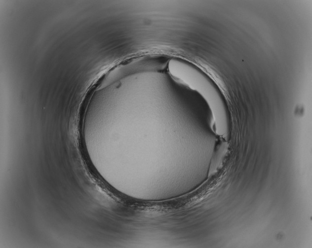 X0000099380485200806051124