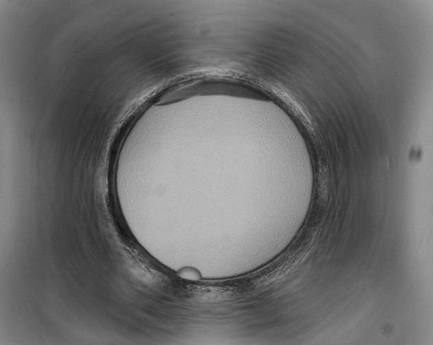 X0000099380486200806051124