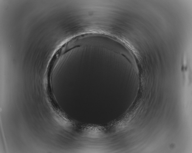 X0000099380488200806051124