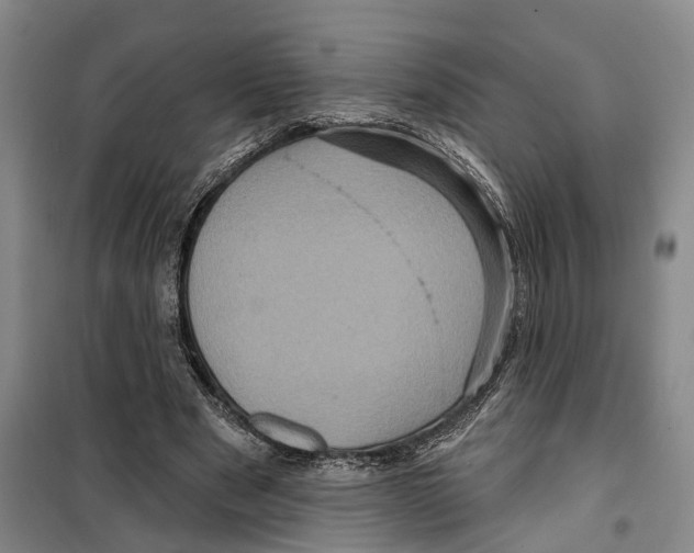 X0000099380489200806051124