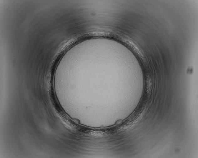 X0000099380490200806051124