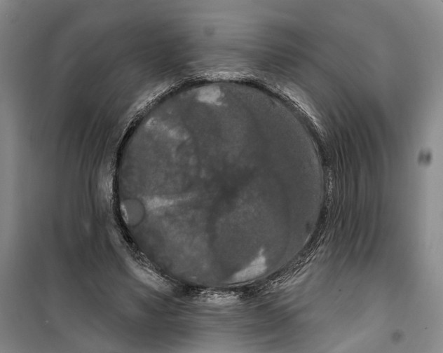 X0000099380491200806051124