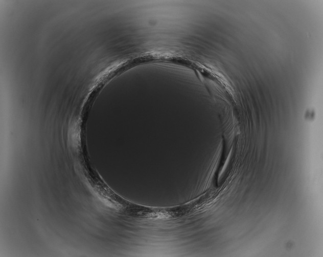 X0000099380492200806051124
