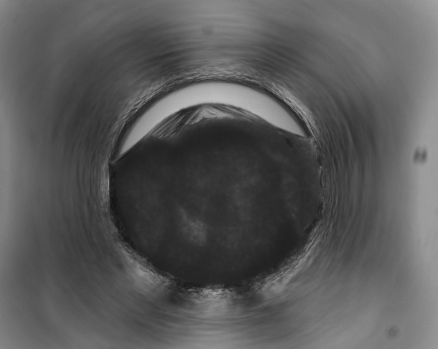 X0000099380493200806051124