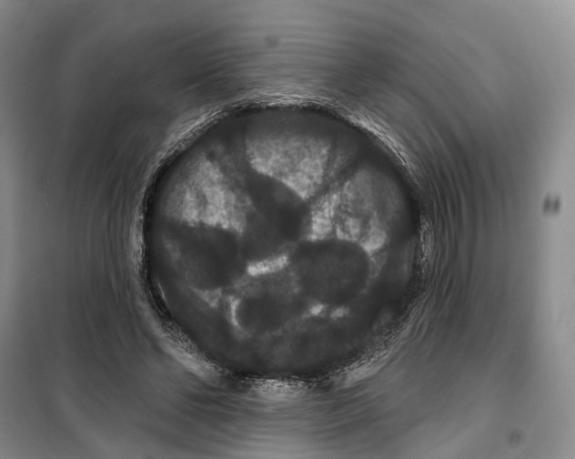 X0000099380494200806051124