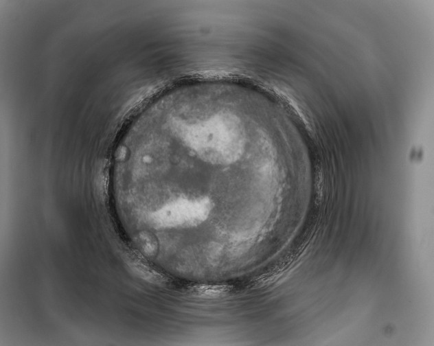 X0000099380495200806051124