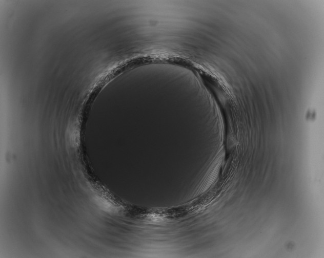 X0000099380496200806051124