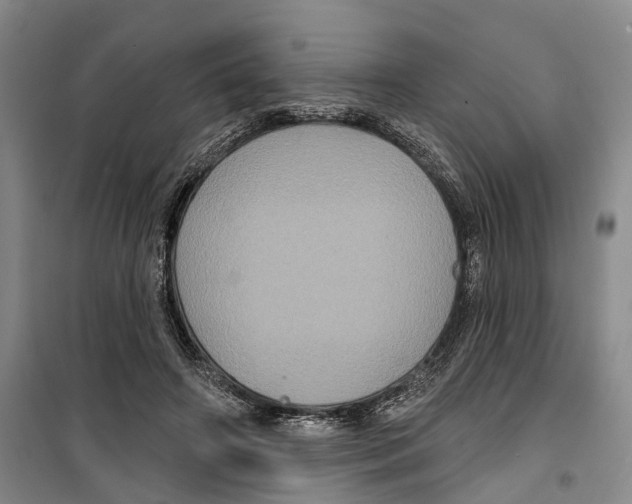 X0000099380498200806051124