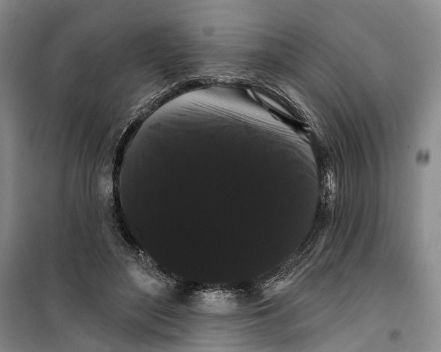 X0000099380500200806051124