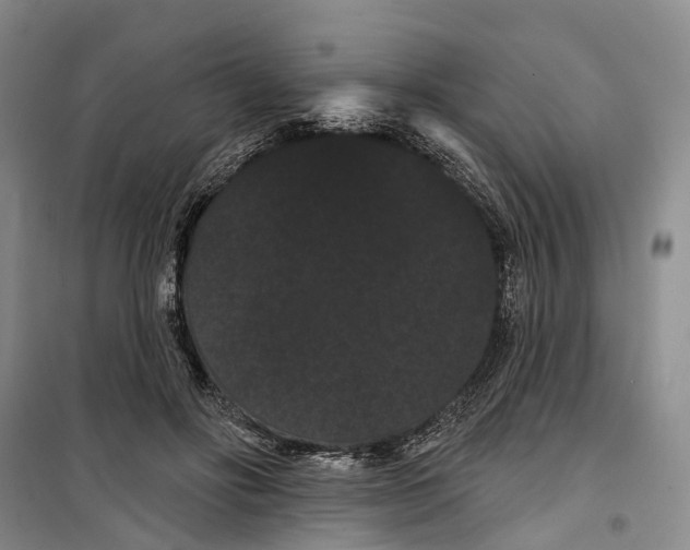 X0000099380502200806051124