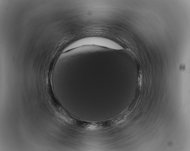 X0000099380504200806051124