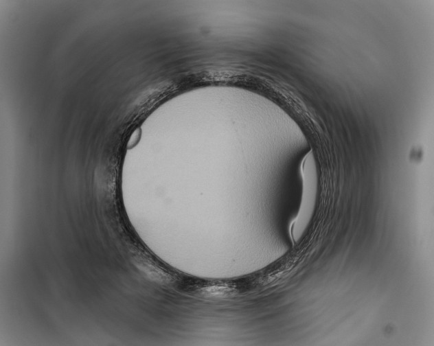 X0000099380505200806051124