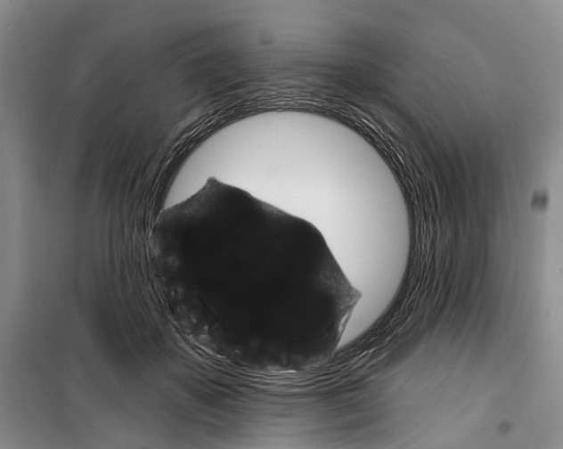 X0000099380507200806051124