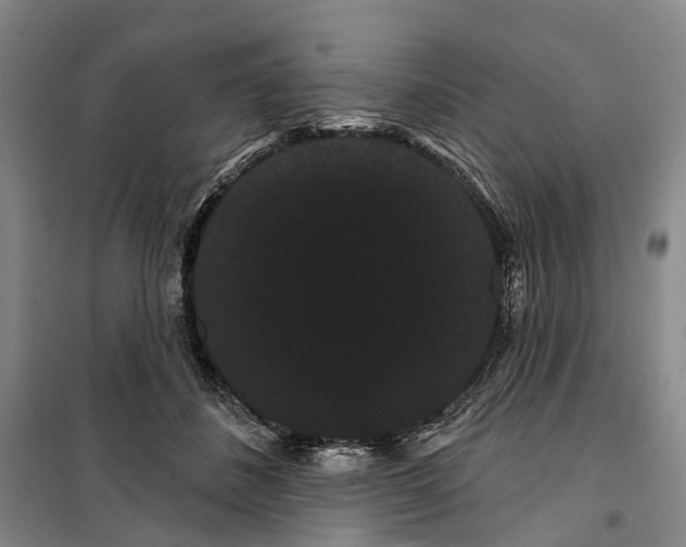 X0000099380508200806051124