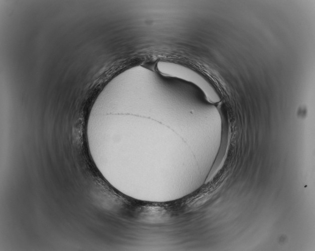 X0000099380509200806051124
