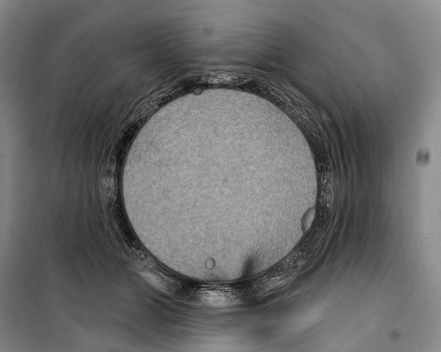 X0000099380510200806051124