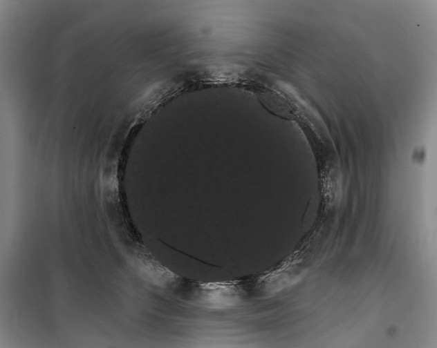 X0000099380516200806051124