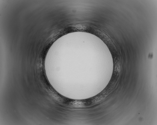 X0000099380518200806051124