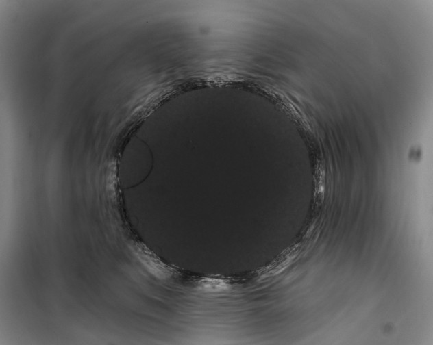 X0000099380519200806051124