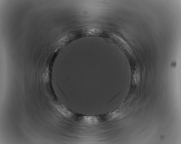 X0000099380520200806051124