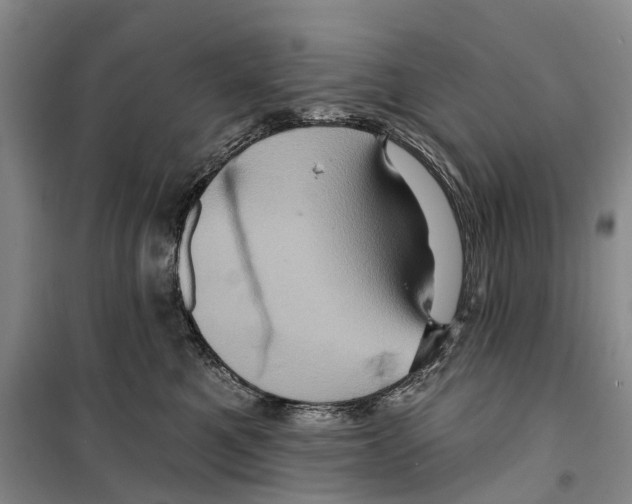X0000099380521200806051124