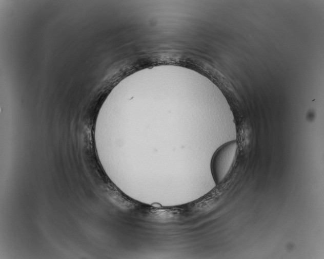 X0000099380522200806051124