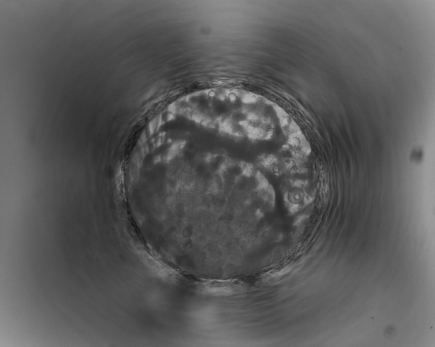 X0000099380523200806051124