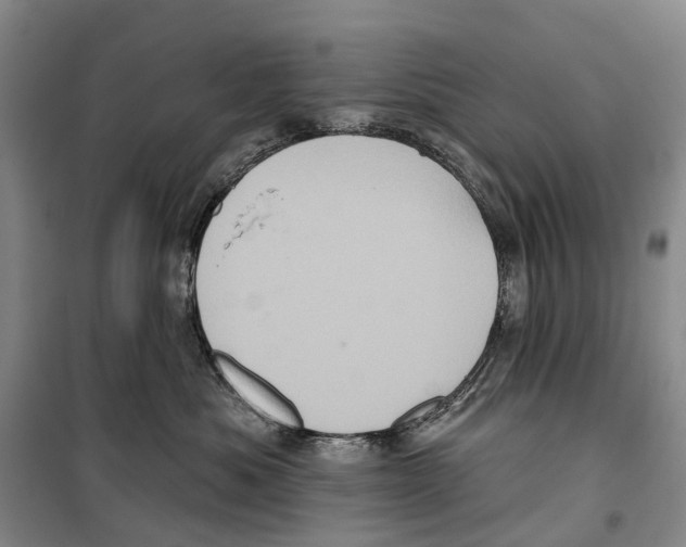 X0000099380525200806051124